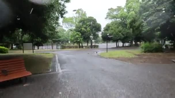 Tokyo Kiba Park Rain Cycling 2022 — Stockvideo