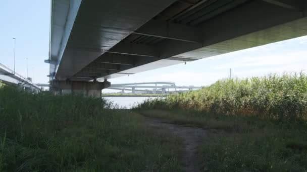 Tokyo Arakawa Nehir Yatağı Manzarası 2022 Ağustos — Stok video