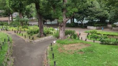 Tokyo Toyama Parkı Eylül 2022