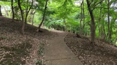 Tokyo Toyama Parkı Eylül 2022