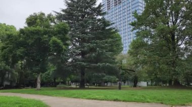 Tokyo Toyama Parkı Eylül 2022