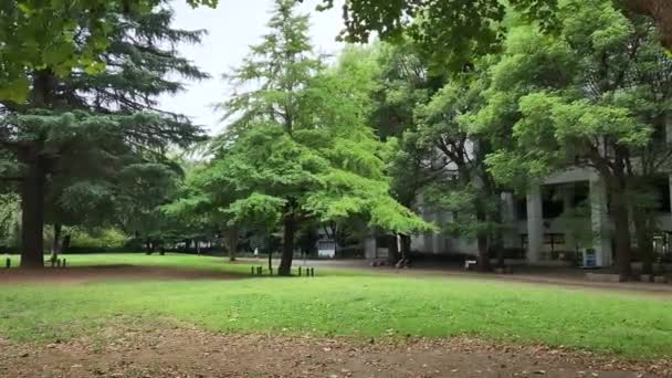 Tokyo Toyama Park Vroege Ochtend September 2022 — Stockvideo