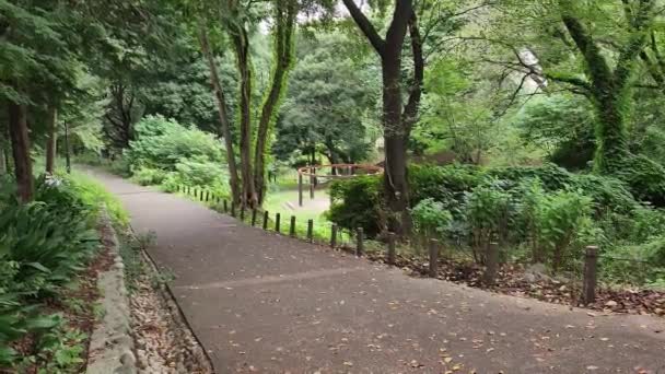 Tokyo Toyama Park Manhã Cedo Setembro 2022 — Vídeo de Stock