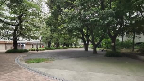 Tokyo Toyama Park Časné Ráno Září 2022 — Stock video
