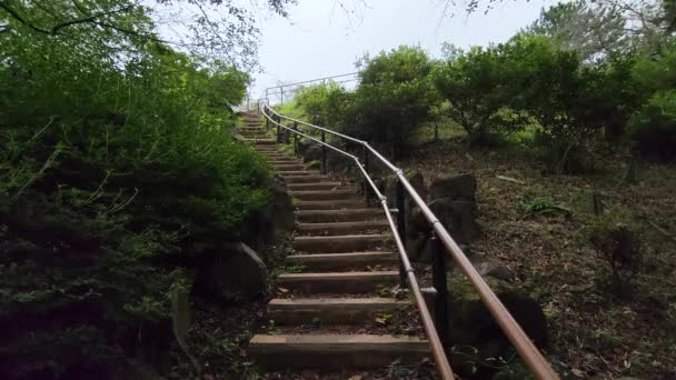 Tokyo Toyama Park Vroege Ochtend September 2022 — Stockvideo