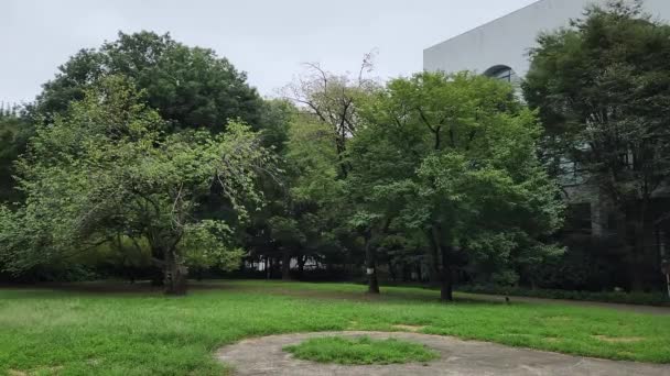 Tokyo Toyama Park Časné Ráno Září 2022 — Stock video
