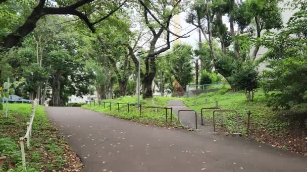 Tokyo Toyama Park Vroege Ochtend September 2022 — Stockvideo