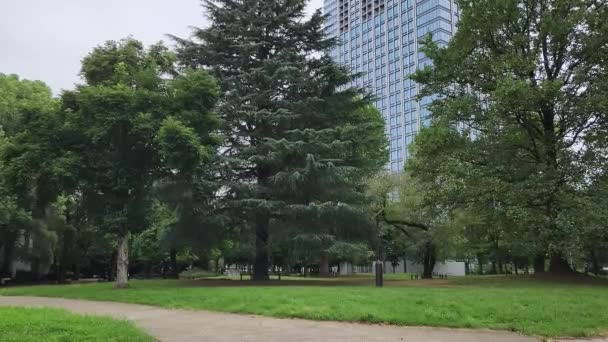 Tokyo Toyama Park Vroege Ochtend September 2022 — Stockvideo