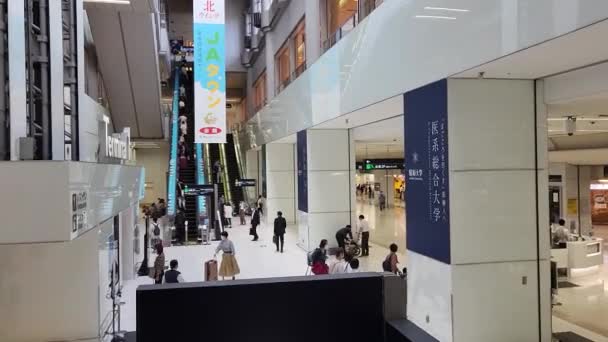 Japón Aeropuerto Haneda Septiembre 2022 — Vídeos de Stock