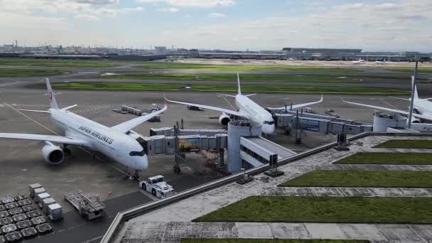 Flughafen Japan Haneda September 2022 — Stockvideo