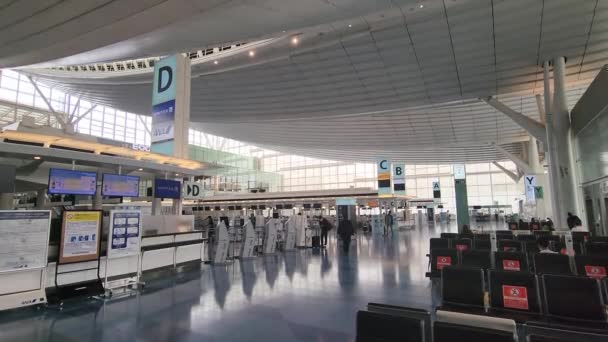 Japonya Haneda Havaalanı Eylül 2022 — Stok video