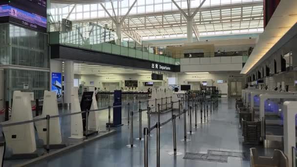 Japonya Haneda Havaalanı Eylül 2022 — Stok video