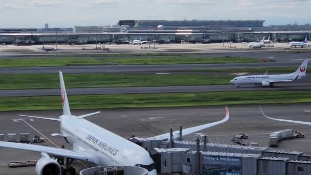 Japan Haneda Airport September 2022 — Stock Video