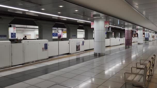 Stasiun Terminal Bandara Haneda Tokyo — Stok Video