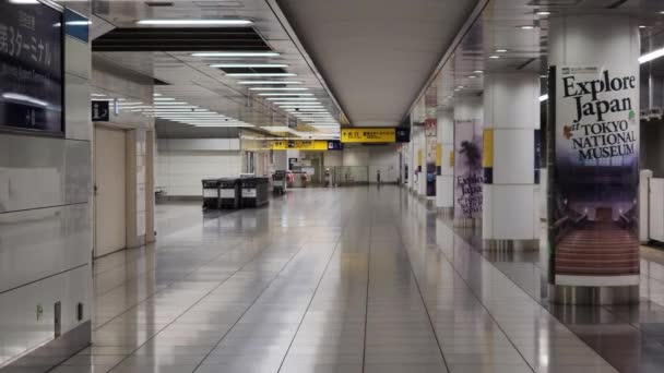 Estação Tokyo Haneda Airport Terminal — Vídeo de Stock