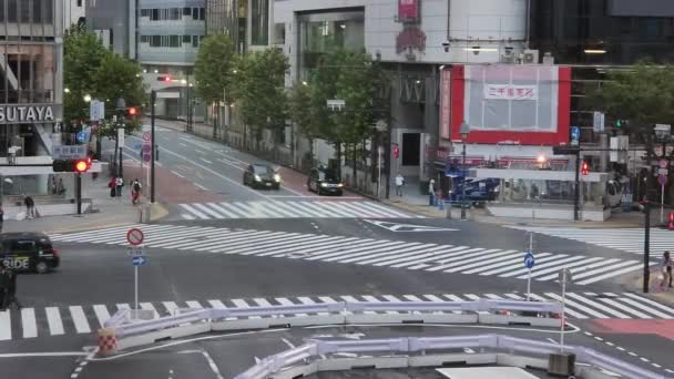 Tokyo Shibuya Eylül 2022 — Stok video