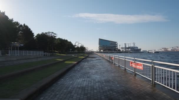 Tokyo Odaiba Shiokaze Park Early Morning 2022 — Stock Video