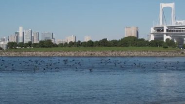 Tokyo Odaiba Sahil Parkı Sabah 2022