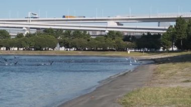 Tokyo Odaiba Sahil Parkı Sabah 2022