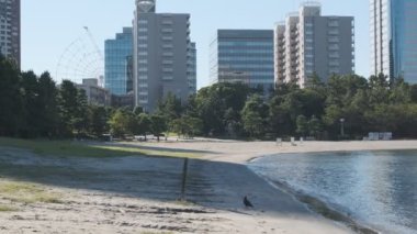 Tokyo Odaiba Sahil Parkı Sabah 2022