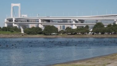 Tokyo Odaiba Sahil Parkı Sabah 2022