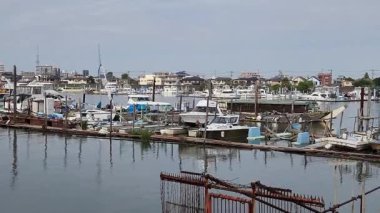 Tokyo Eski Edogawa Nehri 2022