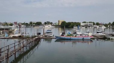 Tokyo Eski Edogawa Nehri 2022