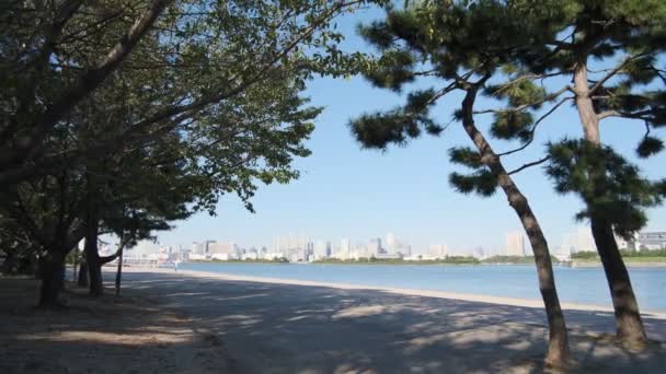 2022年初东京奥代巴海滨公园 — 图库视频影像