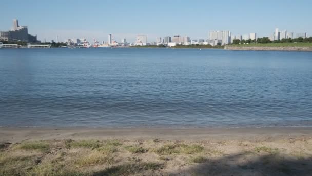 Tokyo Odaiba Seaside Park Ранним Утром 2022 Года — стоковое видео