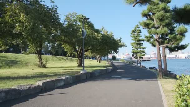 Tokyo Odaiba Seaside Park Tidig Morgon 2022 — Stockvideo