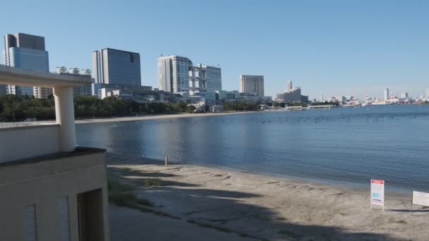 Tokyo Odaiba Seaside Park Ранним Утром 2022 Года — стоковое видео