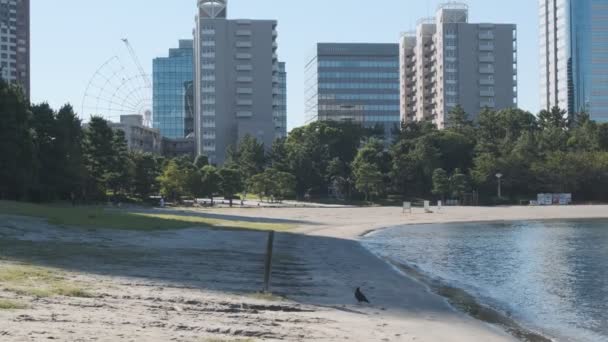 Tokyo Odaiba Seaside Park Ранним Утром 2022 Года — стоковое видео