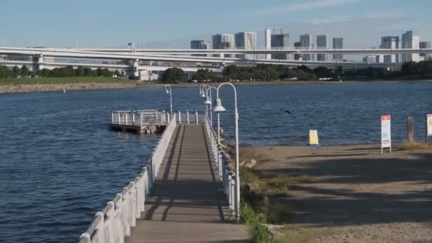 Tokyo Odaiba Seaside Park Ранним Утром 2022 Года — стоковое видео