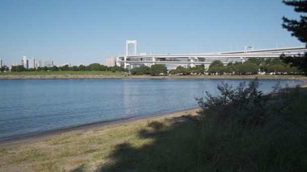 Tokyo Odaiba Seaside Park Ранним Утром 2022 Года — стоковое видео