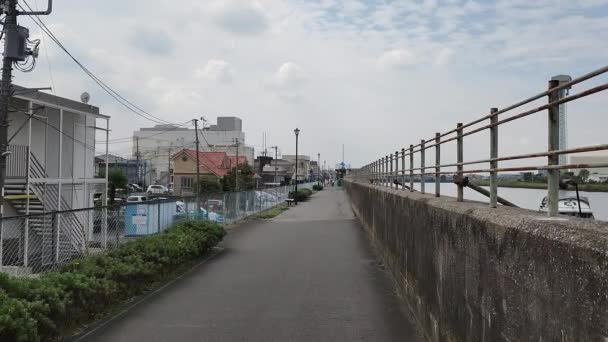 東京旧江戸川2022 — ストック動画