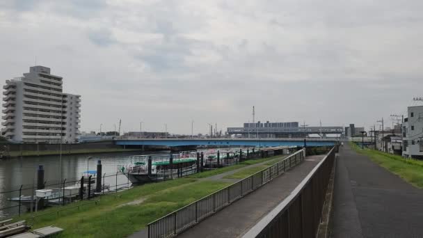 Ποταμός Edogawa Του Τόκιο 2022 — Αρχείο Βίντεο