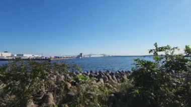 Japonya 'da Shinkiba, Tokyo Manzarası 2022