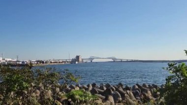 Japonya 'da Shinkiba, Tokyo Manzarası 2022