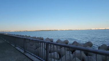 Tokyo Wakasu Kaihin Parkı Ekim 2022