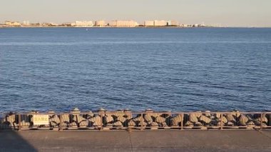 Tokyo Wakasu Kaihin Parkı Ekim 2022