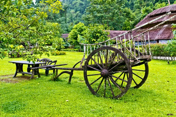 Chariot sur l'herbe — Photo