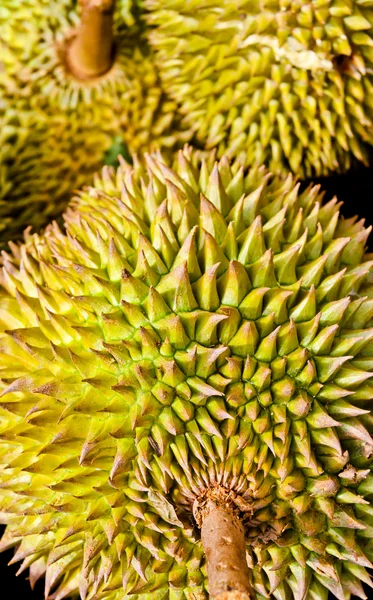 Federazione del durian tailandese . — Foto Stock