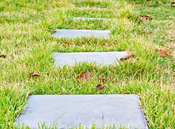 Laufen auf dem Gras — Stockfoto