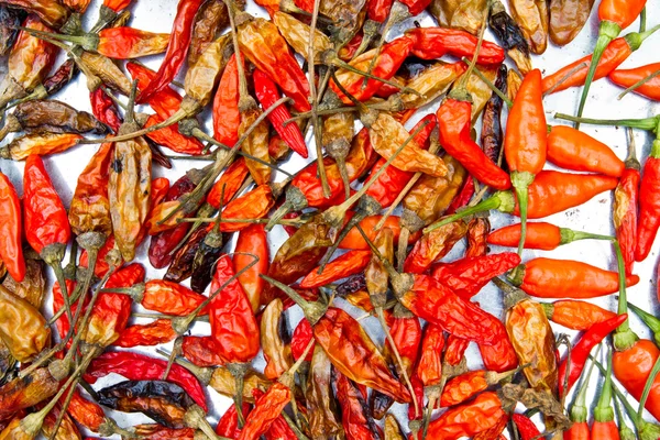 Dried chili background texture — Stock Photo, Image