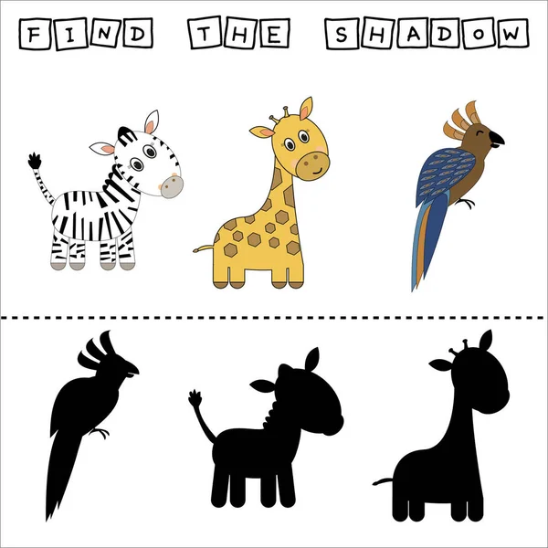 Find Pair Shadow Game Funny Parrot Zebra Giraffe Worksheet Preschool — Stock Photo, Image