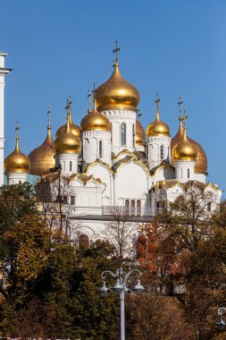 Moskova'da Kilise kubbeleri Annunciation Blagoveshchensky görünümü Katedrali