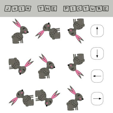 Tavşanları yukarı, aşağı, sola ve sağa yönlendirmek için eğitim görevi.