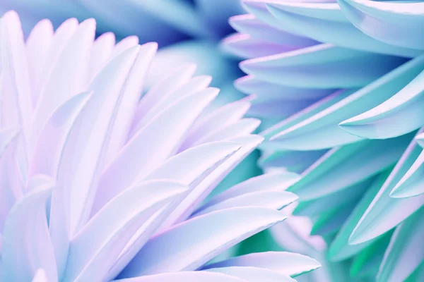 Крупним Планом Ілюстрація Ніжного Синього Півонії Або Квітки Хризантеми Цвіте — стокове фото