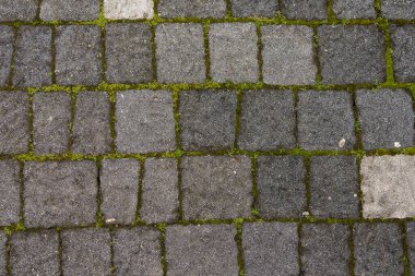 Kahverengi-gri taşlı yosunlu kadın. Tahta duvar dokusu ve arkaplan deseni 