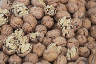 Kabukta bir ceviz kadar yakın plan. Taze fındık. Lezzetli ve sağlıklı yemekler.